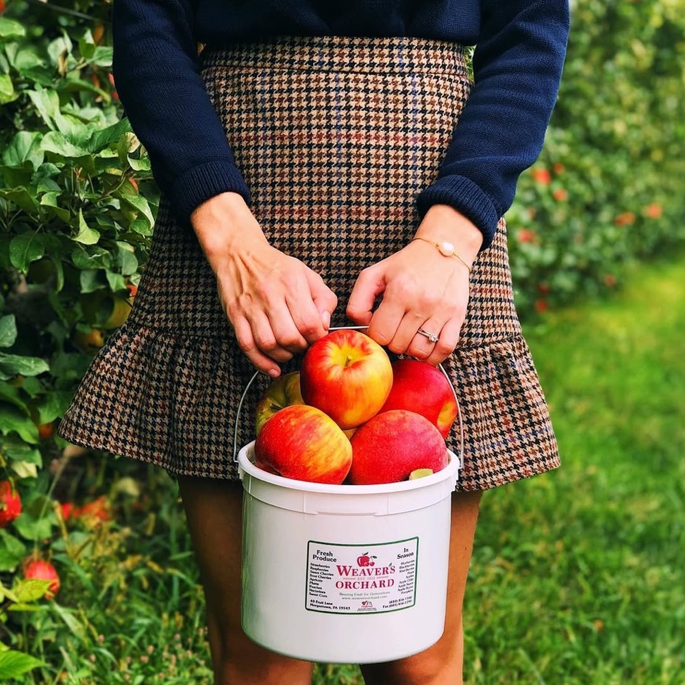 J Crew Houndstooth Skirt